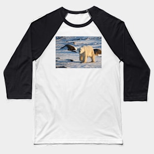 Polar Bear on the Tundra, Churchill, Canada Baseball T-Shirt